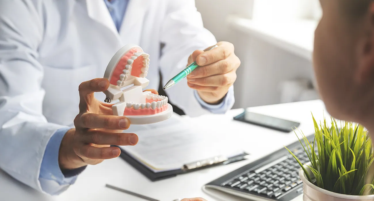 dentist showing teeth display